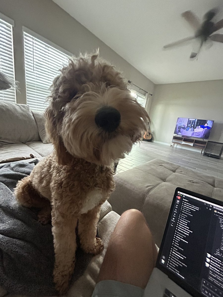luckydoodle24's tweet photo. Hi https://t.co/bm6nED0GYh