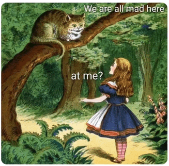 Molli Jackson Ehlert (she/her) tweet media