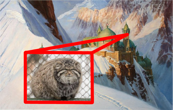 PallasGem's tweet image. they are keeping manul prisoner here