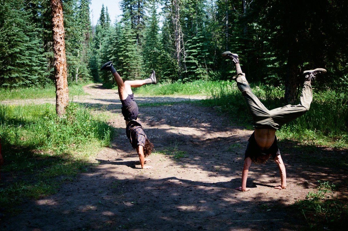 jakkdaveed's tweet image. summer in the trees