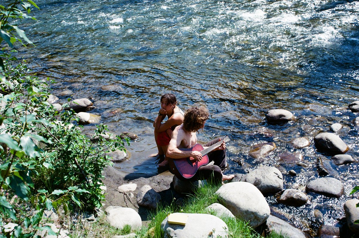 jakkdaveed's tweet image. summer in the trees