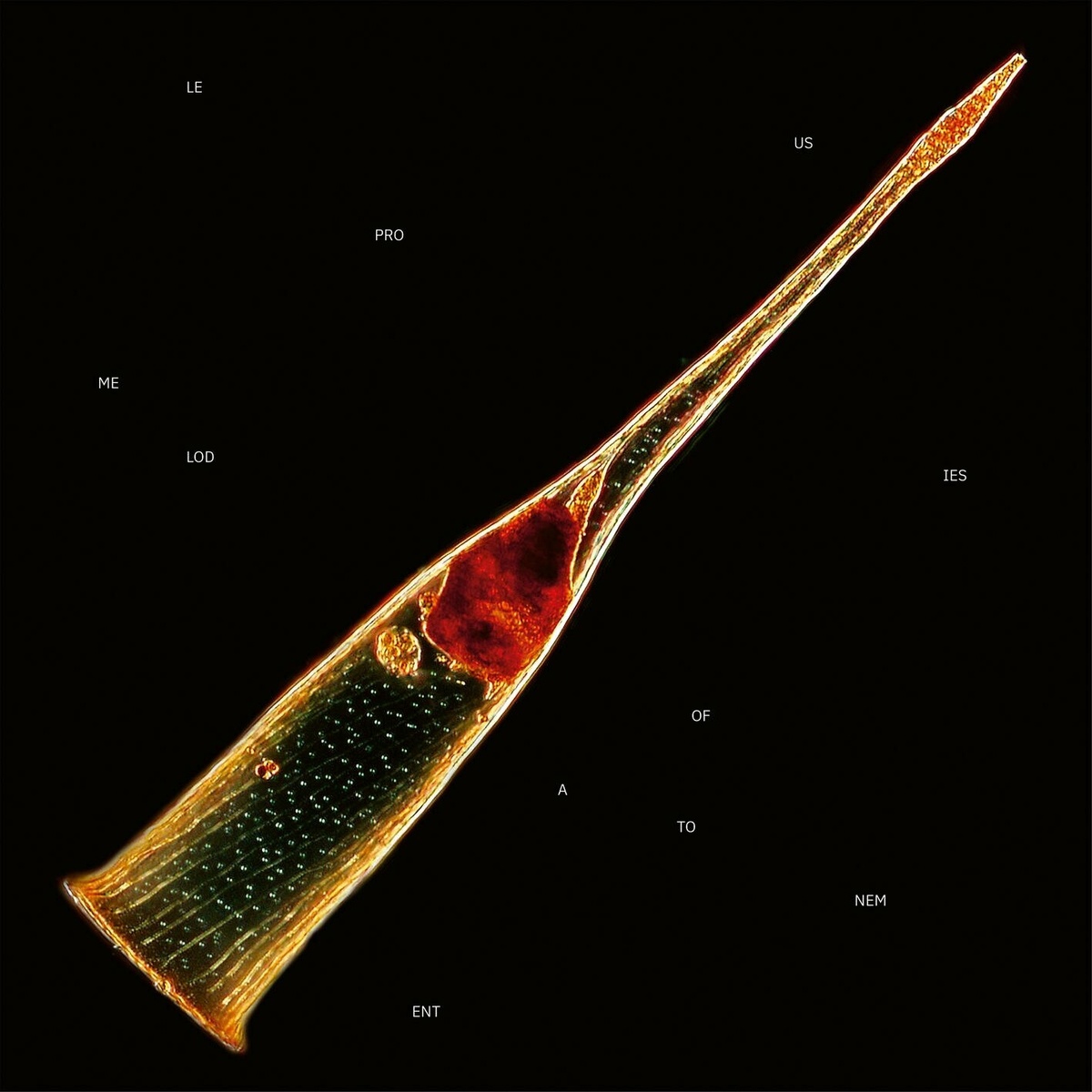 ► Leprous – Melodies Of Atonement (2024) ◄  
NEW!!!  
Genre: #progressive_metal 
Country: Norway 
Total Time: 00:51:40  
Line-up:
- Einar Solberg / lead vocals, synth 
- Tor Oddmund Suhrke / guitar 
- Robin Ognedal / guitar 
- Simen Daniel Børven / bass 
- Baard Kolstad / drums