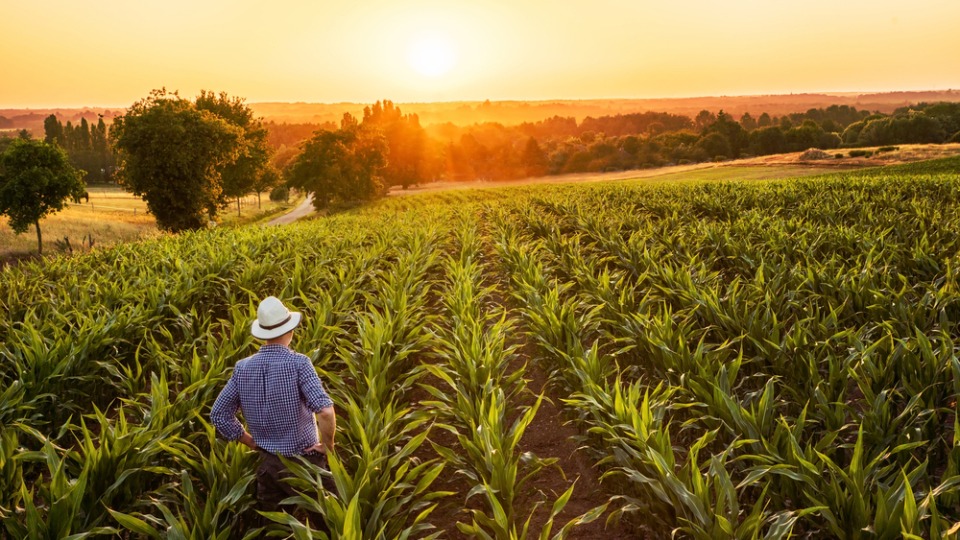 Conservation Alliance for Seafood Solutions tweet media