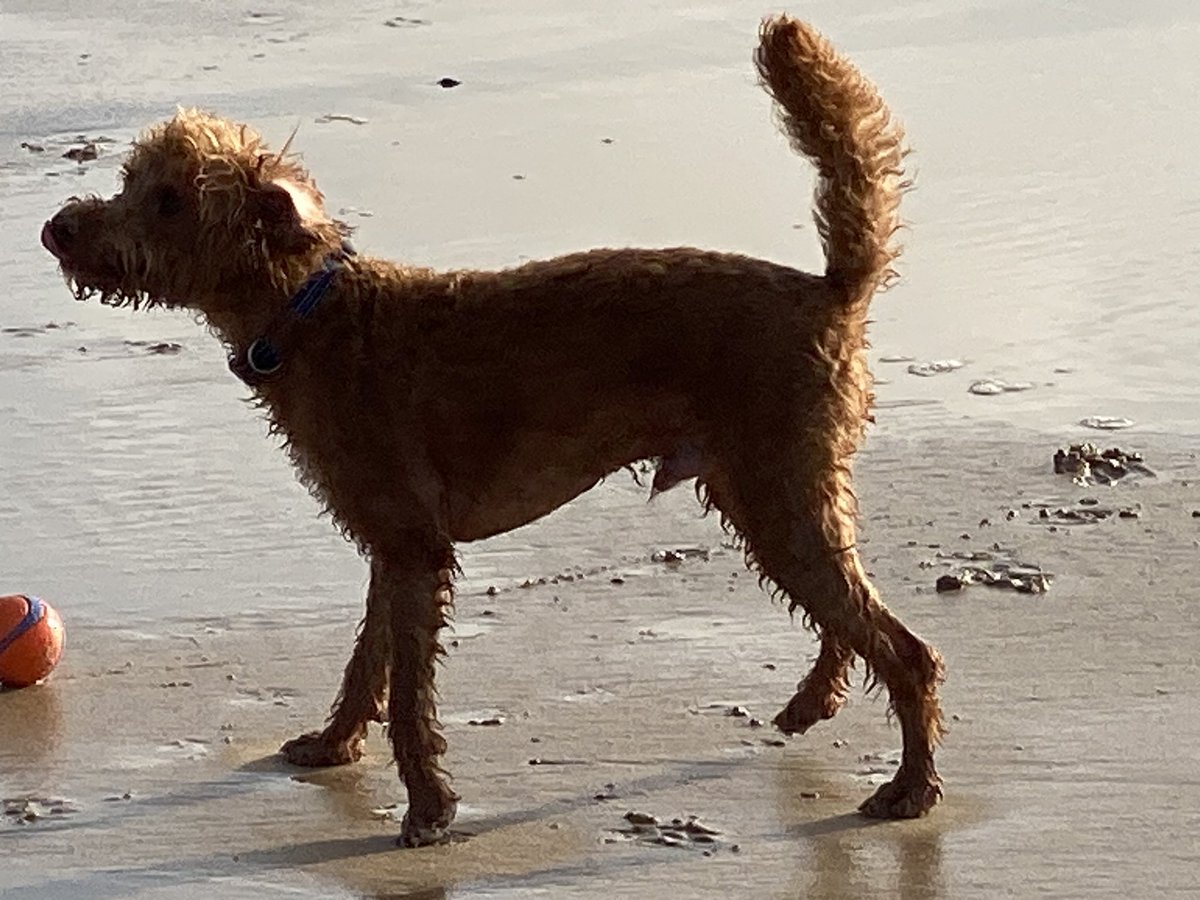 ExploraNeedham's tweet image. 