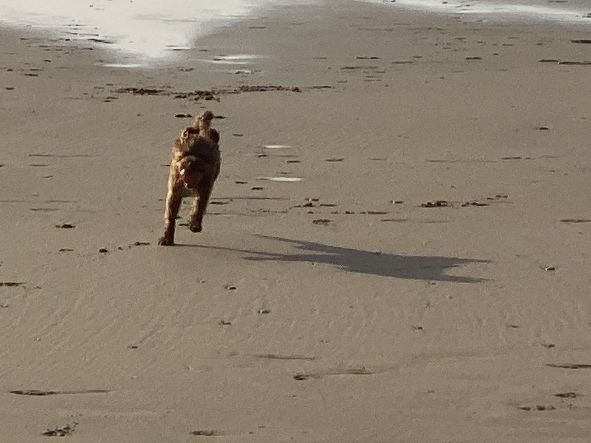 ExploraNeedham's tweet image. 