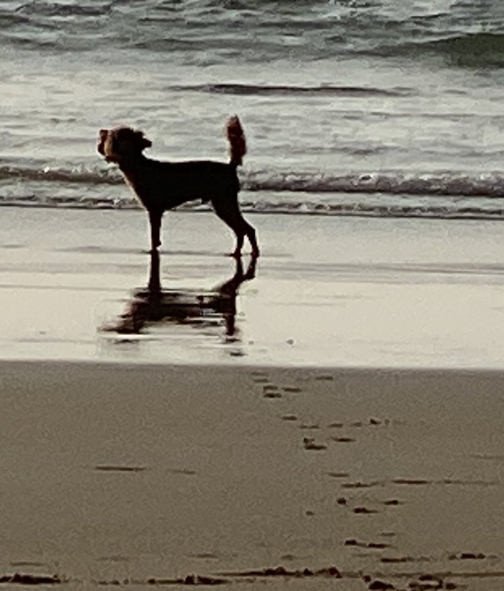 ExploraNeedham's tweet image. 