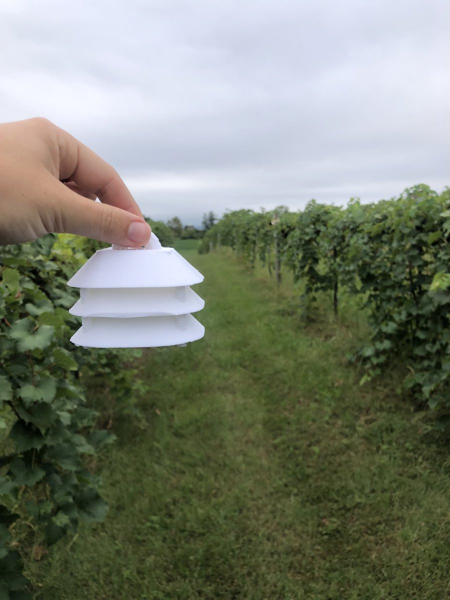 I heard micro-purses are in fashion? <a href="/LeslieHolland_/">Leslie Holland, PhD</a> &amp; I are bringing fashion to the vineyard with our sensors🍇