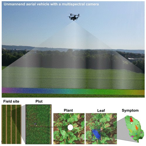 Emerson Del Ponte (@edelponte) on Twitter photo Our Perspective Article is now freely accessible in <a href="/PhytopathologyJ/">Phytopathology®</a>! "From Detection to Protection: "The Role of Optical Sensors, Robots, and Artificial Intelligence in Modern Plant Disease Management"
➡️apsjournals.apsnet.org/doi/10.1094/PH… Our Perspective Article is now freely accessible in <a href="/PhytopathologyJ/">Phytopathology®</a>! "From Detection to Protection: "The Role of Optical Sensors, Robots, and Artificial Intelligence in Modern Plant Disease Management"
➡️apsjournals.apsnet.org/doi/10.1094/PH…