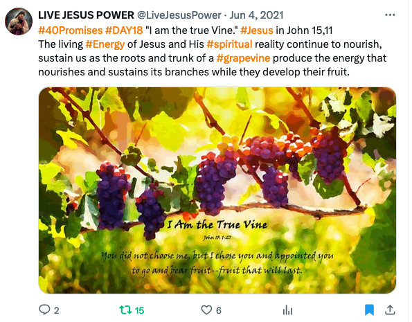 BlackQueenLara's tweet photo. @NjoraGeorge Name of Christ ISN'T 4 #JESUS alone. EVERY real Christian can add Christ to his/her last name.
I say CHRIST with all my♥️when I need healing to feel pain disappear or get GUIDANCE . #JOSHUASELMAN demystifies #JesusTeaching: I am the #TRUEVINE, you are the BRANCHES
John 15, 1 https://t.co/fr57jBhehA