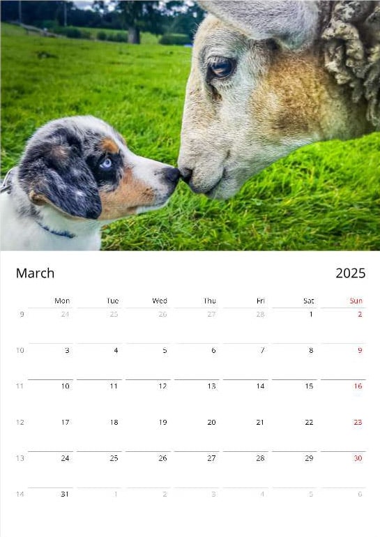 Paul Steele aka BaldHiker tweet media