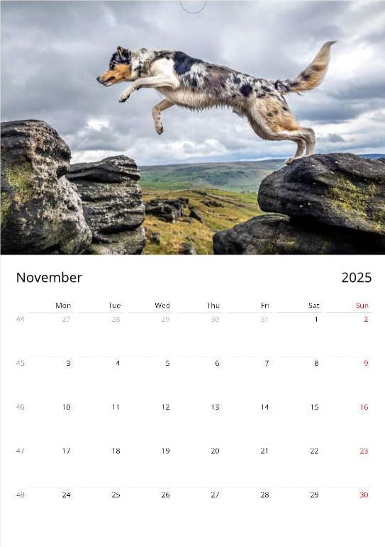 Paul Steele aka BaldHiker tweet media