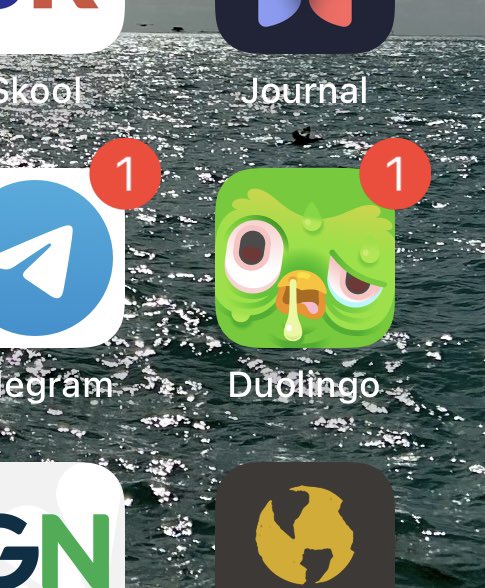 chris_moreno58's tweet photo. @duolingo You good bro? https://t.co/ZzOymRWLKg