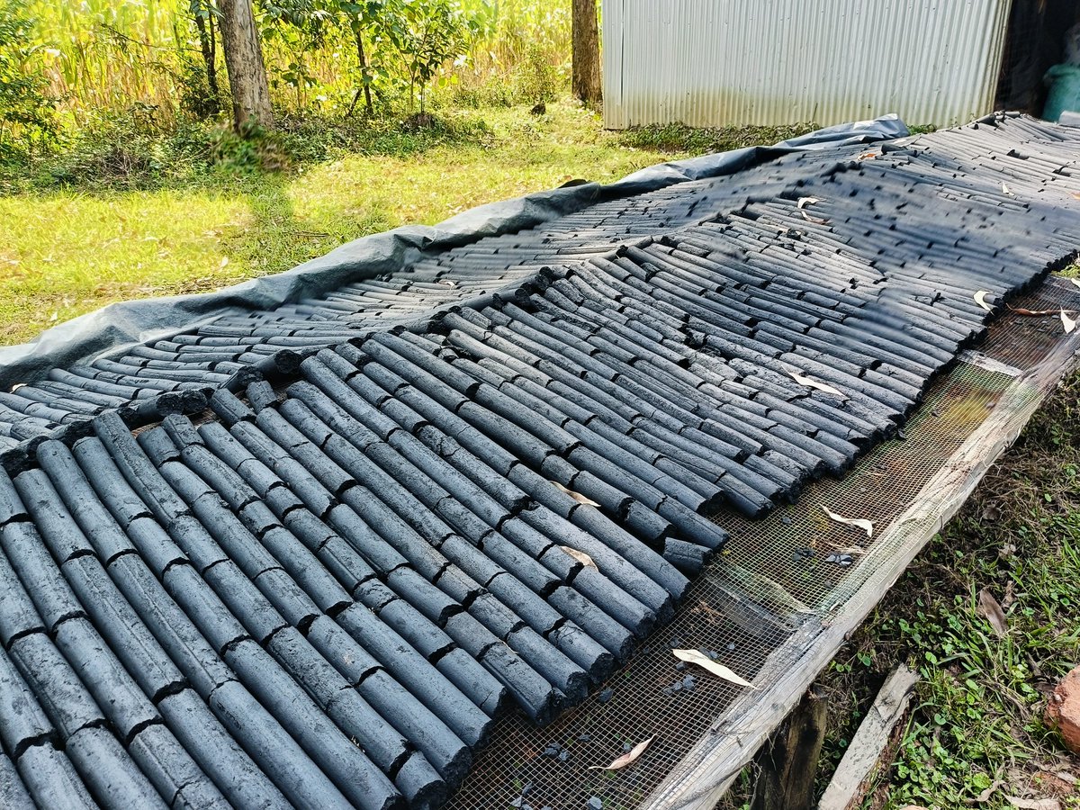 eco2libriumllc's tweet image. The kitchen is the heart of every home! With #briquettes be sure to cook healthy meals for your family. Make your order now through 0710 796 519 /0741 933 506, with only 40 shillings per kilo.  Free #delivery within Kakamega town!