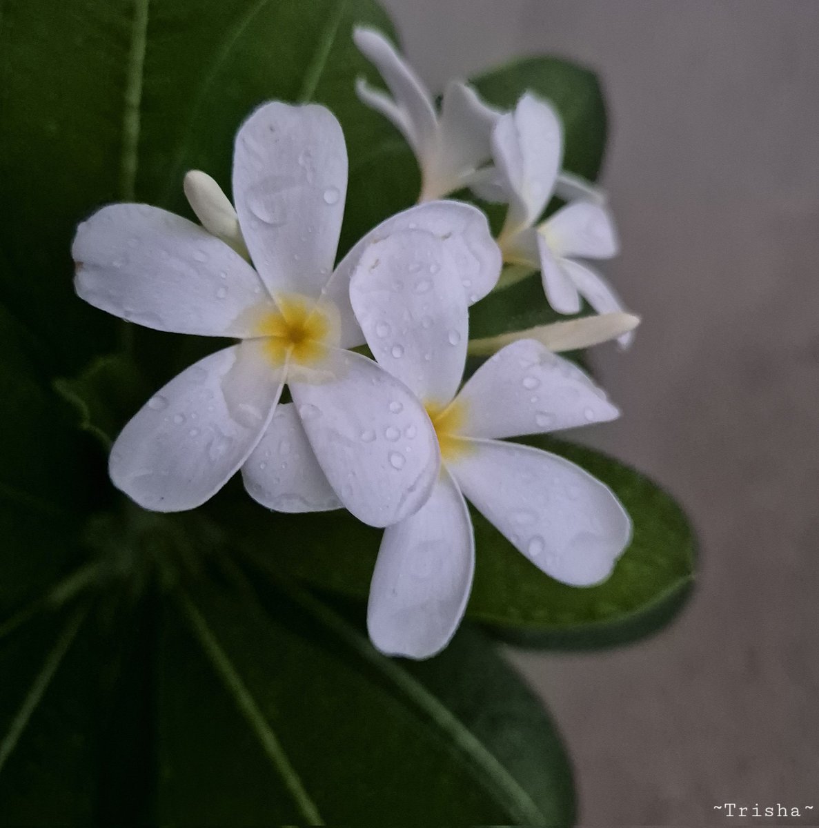Bas aise hi...
 #MyClick :)