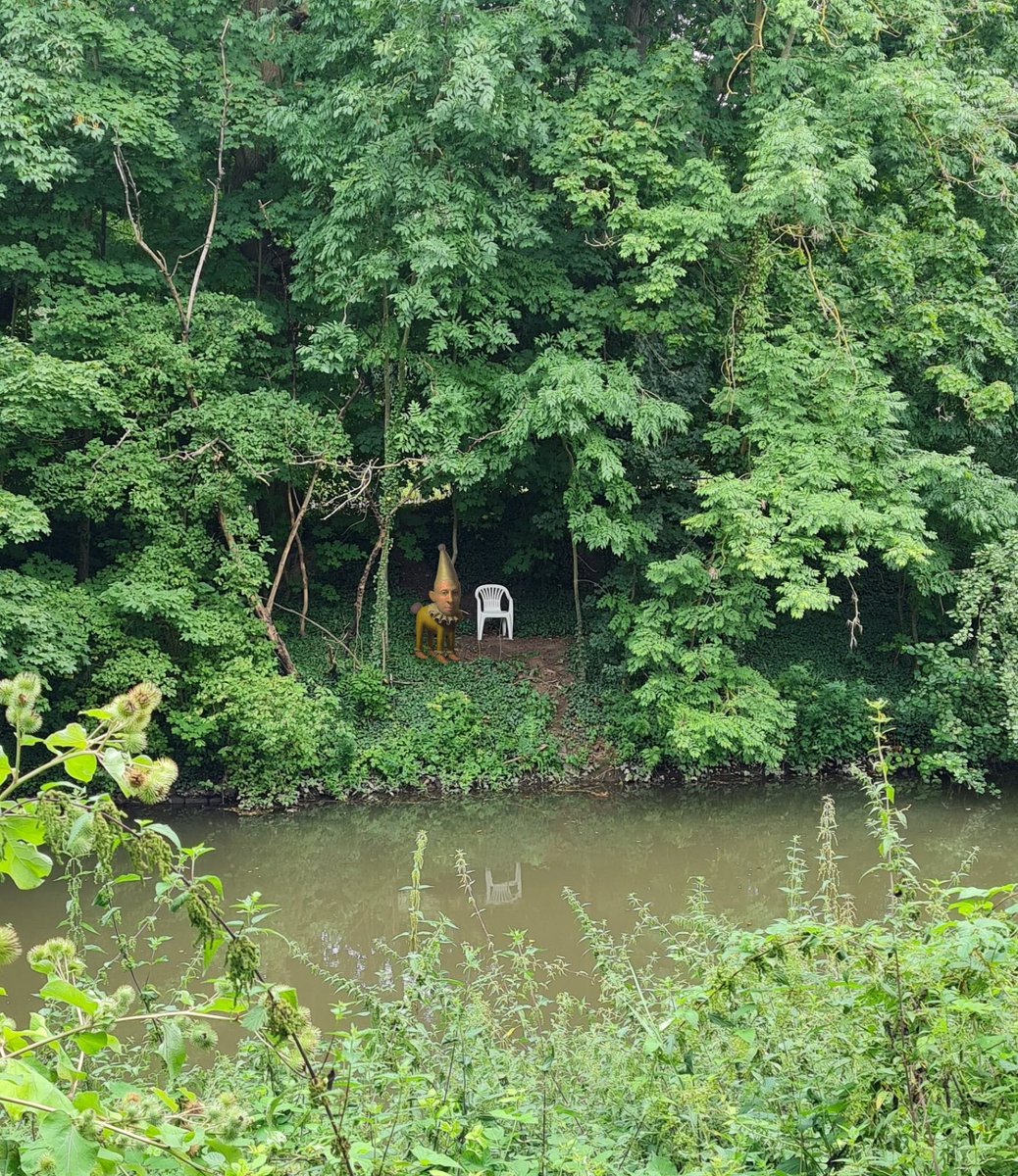 Cyrakek_'s tweet image. 