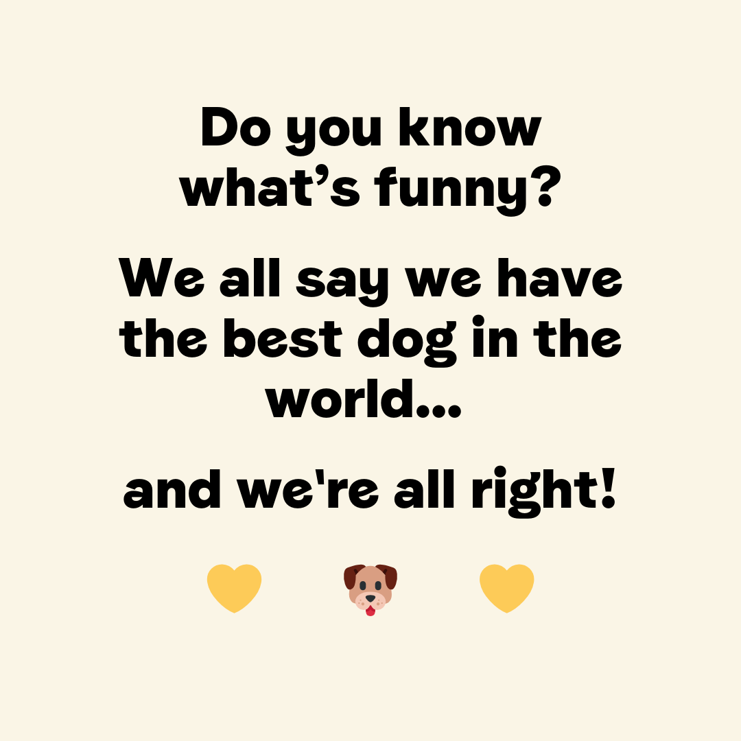 Comment if you have the best dog ever to help us prove our point 🐶👇
