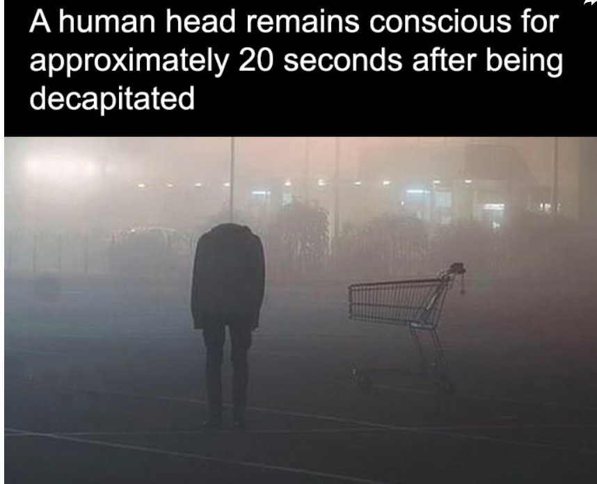 TCWTMedia's tweet image. 🧠😱 Terrifying Thursday Fact! 😱🧠
Did you know that a human head can remain conscious for up to 20 seconds after being decapitated? 😳 This eerie phenomenon means the brain may still be aware, even after such a traumatic event. 
#TerrifyingThursday #CreepyFacts #Decapitation