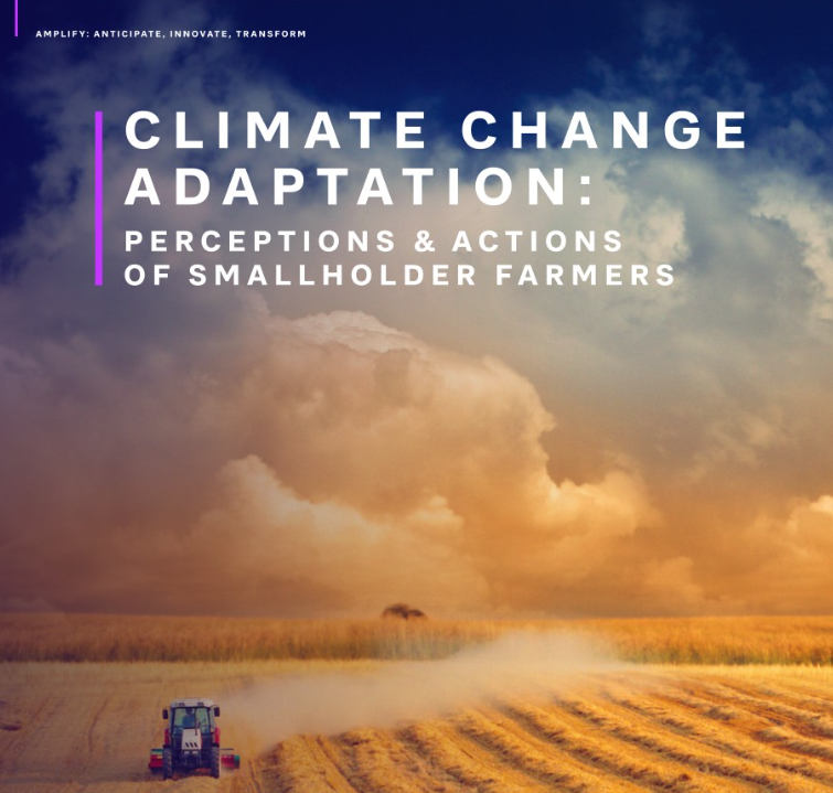 Cutter Consortium, an Arthur D. Little community tweet media