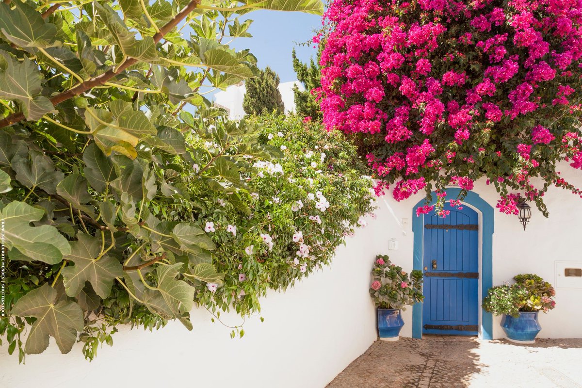 Following the U-turn on tax breaks for overseas residents, the new government now has its sights on reversing Alojamento Local (AL) restrictions. Click for more information 👉bit.ly/3XkM7Ai