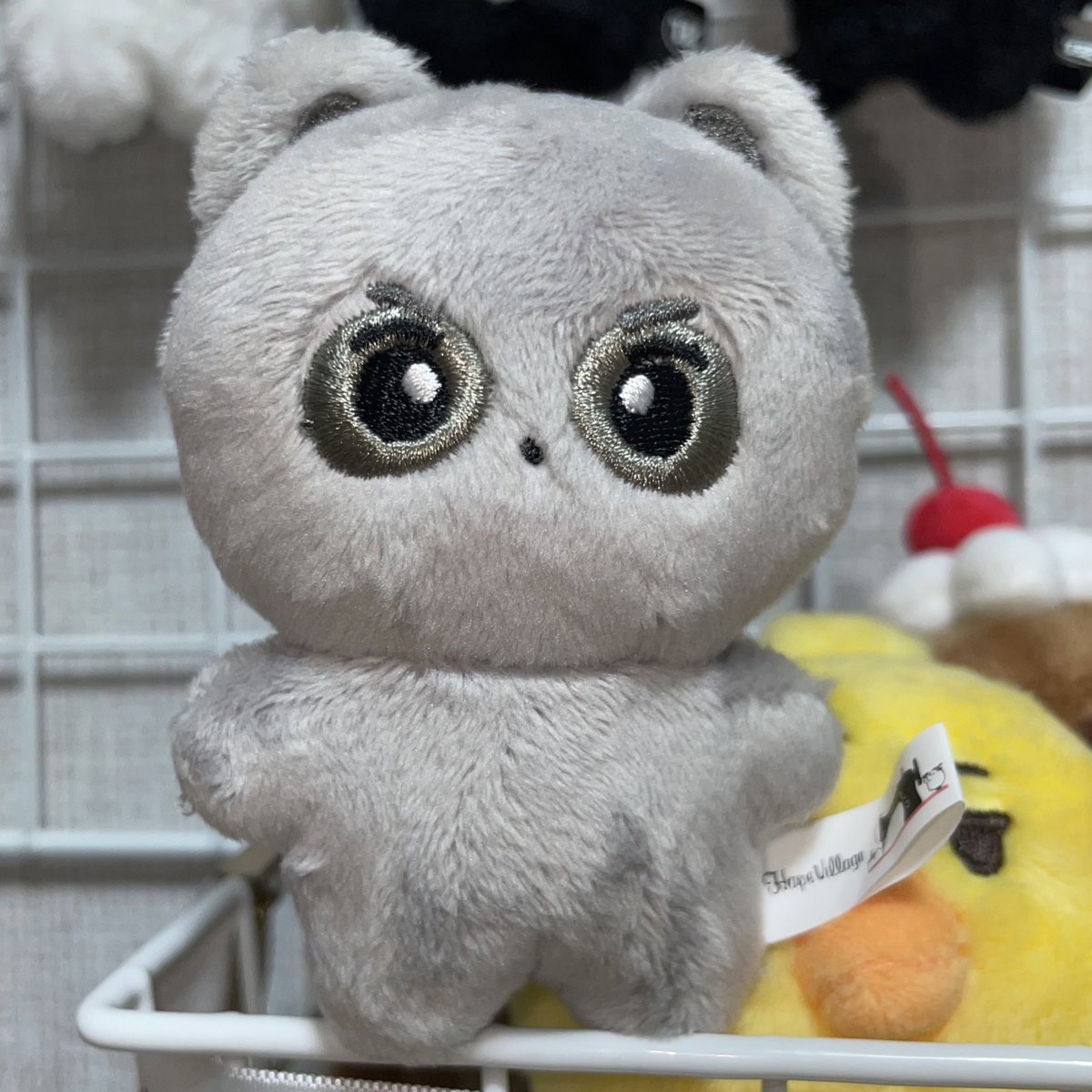 선뽀... 생각보다 작고 용맹해서 귀여움
막대기 들고 대신 싸워줄 것 같아ㅠ