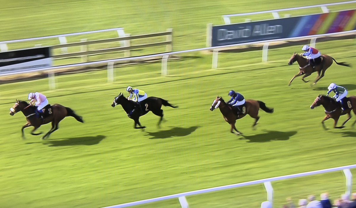 amajox's tweet photo. Congrats @amajox @HannahDring2 WINS @ArmstrongWatson AJA @CarlisleRaces for #HarrietBethell #IsleOfWolves #topjock Well done Hannah! 🌟#MattBrown 🥈#ChelseaBrooks🥉Many congrats to winning connections 🥳 Great to see seconditus cured! What a game horse 🌟 https://t.co/TOLv3vNCag
