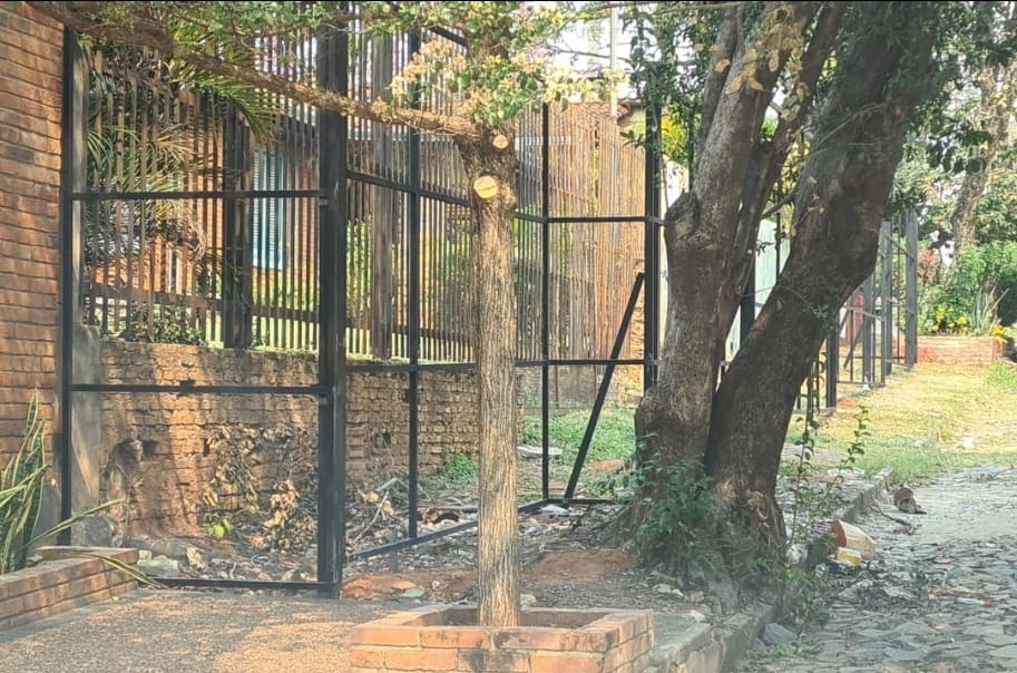 DeMangales's tweet photo. Cptan Albino Maciel y Tte Alcantara, Barrio Las Lomas.
El vecino obstruye la verde, no hay respeto al peaton! @pablocallizob @Alvaromgrau @AsuncionMuni @nanduti @Telefuturo @ABCTVpy @laslomasvecinos @sntcanal9 @UltimaHoracom @ABCDigital @AM_1080 @oscar_marandu @Santula https://t.co/xKzD3Q2GO6