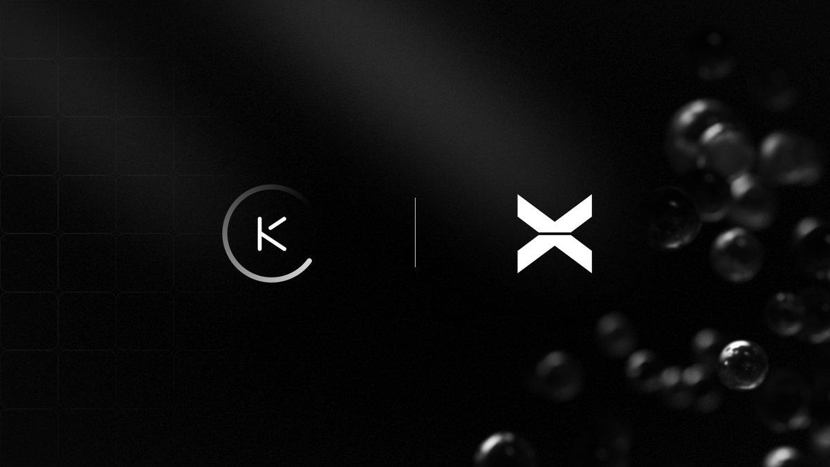 XBorg x Kamino 🤝

We’re partnering with <a href="/KaminoFinance/">Kamino</a> to provide 1,000,000 $XBG in incentives to liquidity providers on Solana over the next month.

This will enhance the $XBG trading experience on Solana and strengthen our presence within the Solana ecosystem.