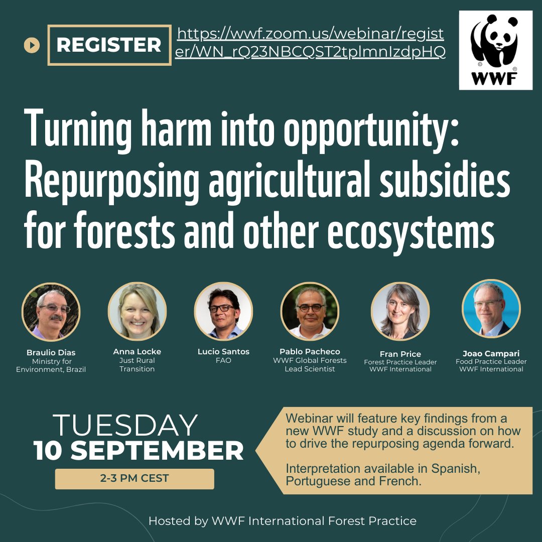 Every year, a staggering $470 billion is spent on agricultural subsidies that harm biodiversity, forests and other ecosystems. Join our webinar on 10 Sept. to learn how these subsidies can be redirected toward a nature-positive future.
shorturl.at/sXrls