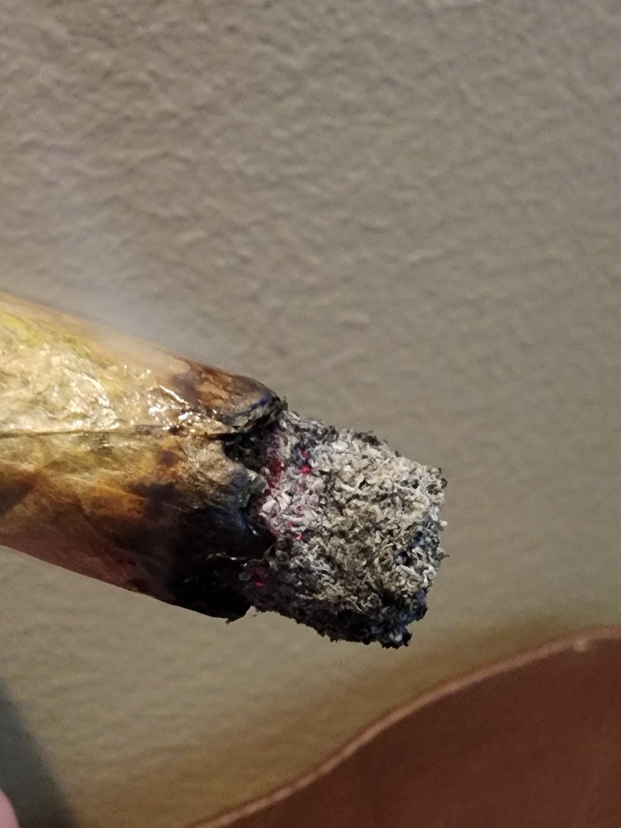 kclightup's tweet photo. Have to give this @Speedrunseeds Slamberry a try today and I'm high as fuck off a 1/3 of this J. Super impressed with this 1. Great job @Speedrunseeds 🔥🔥🔥🔥. Straight up berry terps inhale and exhale. #CannabisCommunity #growyourown #organic #notill #livingsoil #earthbox https://t.co/h4f1HYuQxB