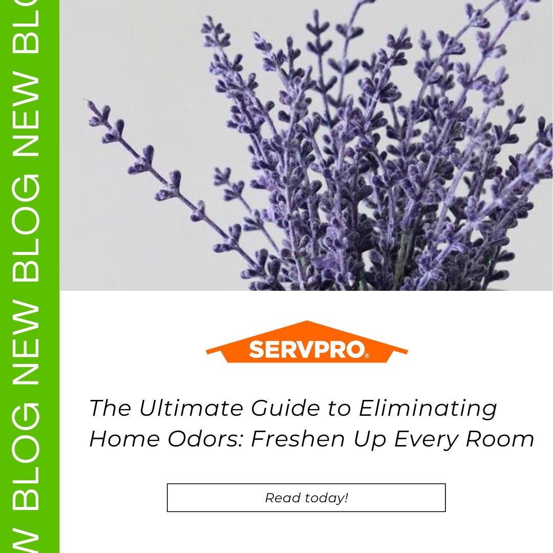 SERVPRO of Huron and East Seneca Counties tweet media