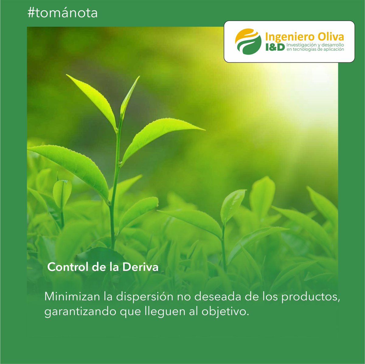 ¿Qué son los coadyuvantes? 🌾✨
Son aliados invisibles pero esenciales en la aplicación de agroquímicos. Su rol es crucial para maximizar la eficacia de los tratamientos, asegurando que cada gota cuente.