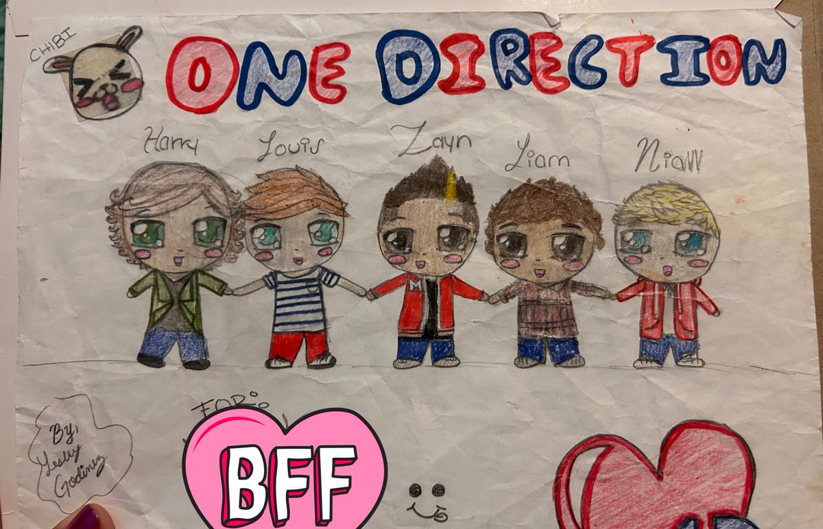 you guys wouldnt have survived my directioner era