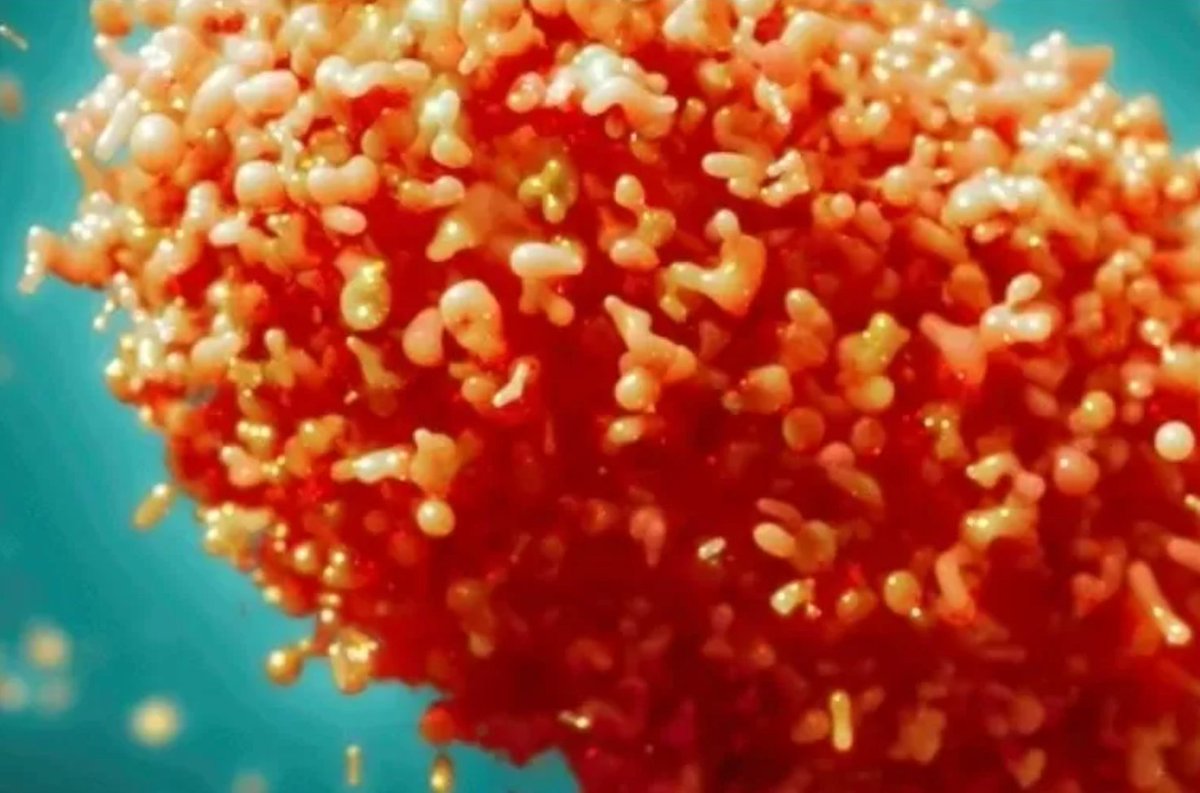 🔥🔥The World Health Organization has launched a global plan to stop mpox outbreaks, requiring $135M for coordinated efforts. Focus: surveillance, vaccination, research, and community empowerment. #mpox #GlobalHealth #WHO who.int/news/item/26-0…