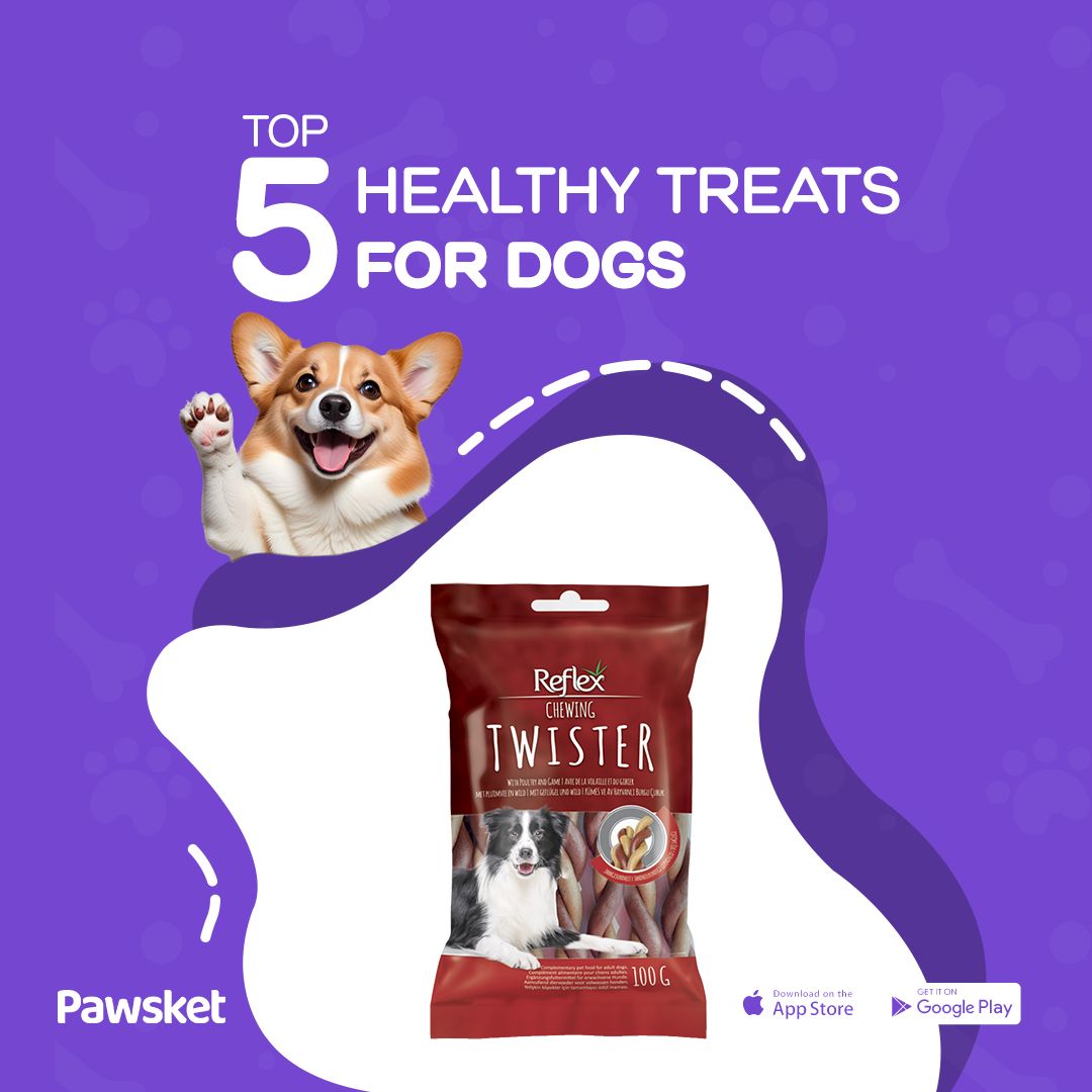 pawsket's tweet photo. Treat your dog to something healthy and delicious! 🐶 Here are our top 5 picks. #HealthyDogTreats #BestDogTreats #PetNutrition https://t.co/CvBIYVsCED