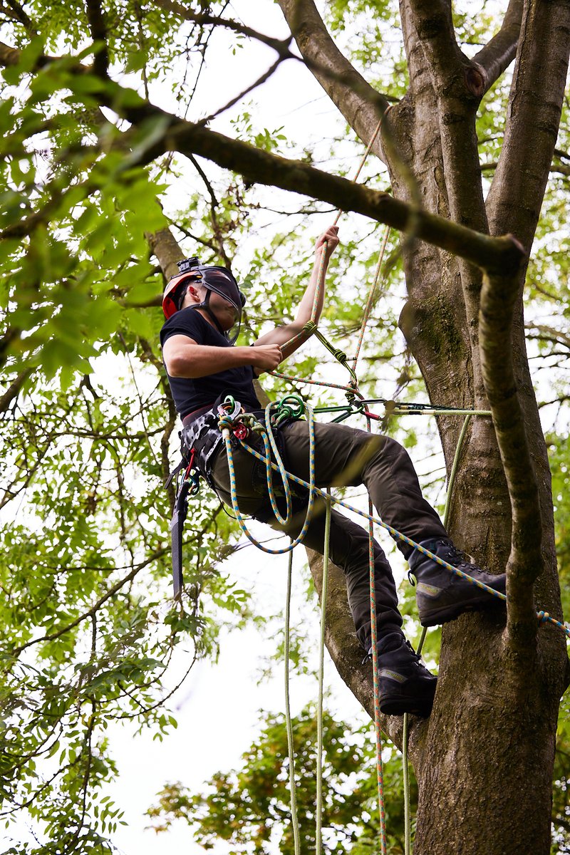 Passionate about Agriculture, Horticulture, Animal Care, or Arboriculture? We offer T-level courses at select campuses starting this September! Visit our website to learn more and apply now: askham-bryan.ac.uk/t-levels/