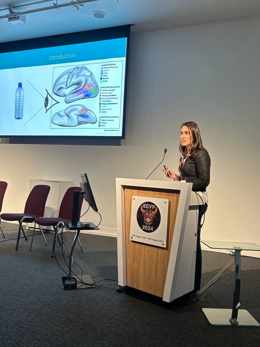 Congratulations to <a href="/FilipaSotero/">Filipa Dourado Sotero</a> on her talk 'A dissociation between object material and material perception: a patient case study' as part of the symposium 'Perception, cognition, and action in neuropsychological patients: Bridging science and practice' at <a href="/ecvp_/">ECVP 2024</a> .👏
