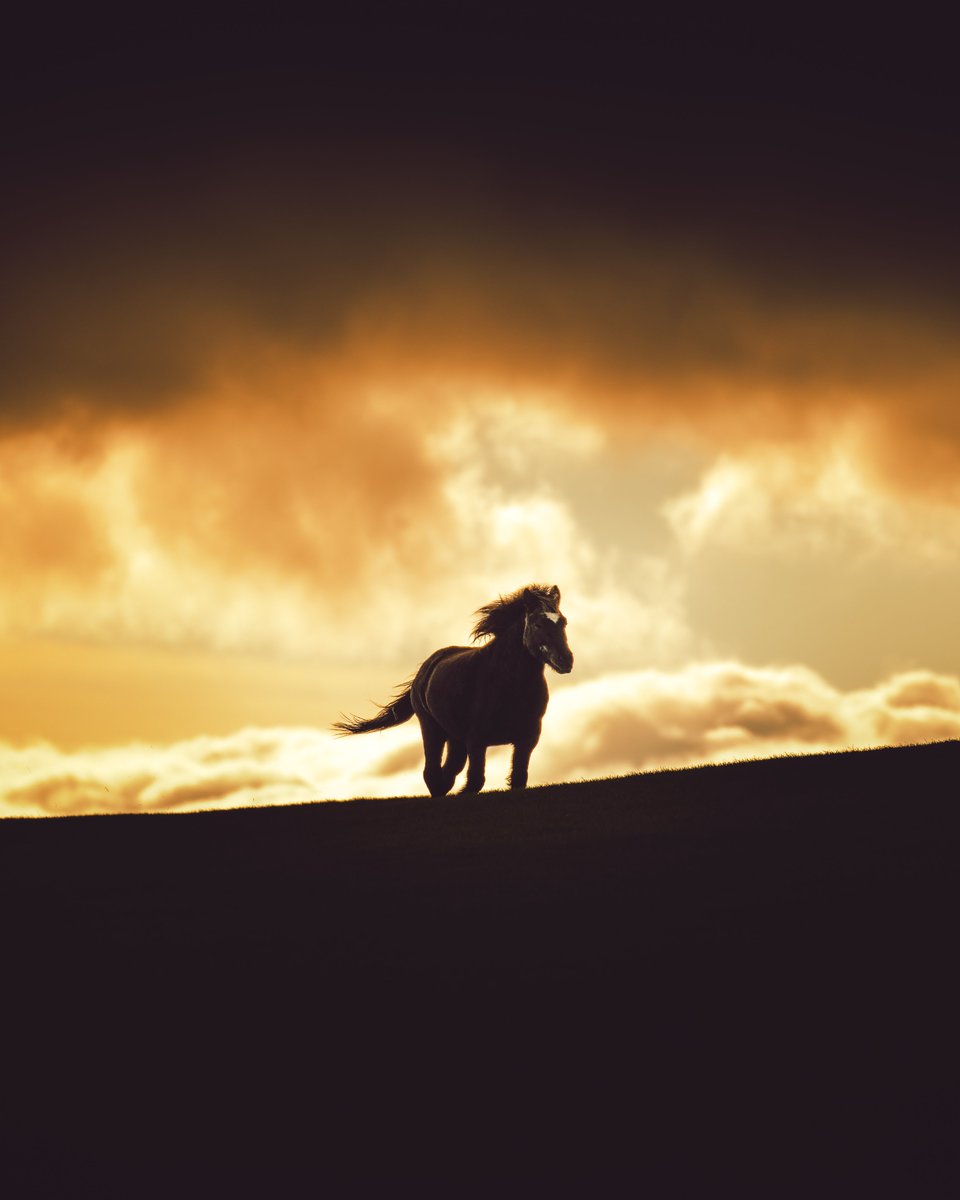 Photography that I'm proud to own 📸

<a href="/jake_inez/">Jake Inez</a> 
<a href="/ben_zank/">Ben Zank</a> 
<a href="/nathanabauman/">Nathan A. Bauman</a> 
<a href="/jubbishjay/">jay</a>