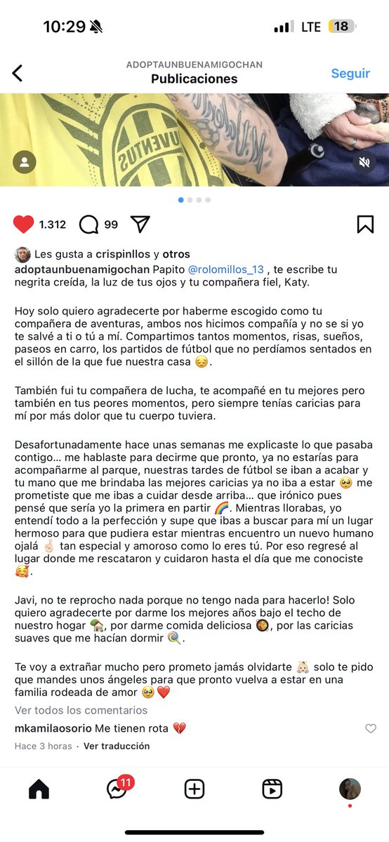 mkams__'s tweet photo. La perrita de Javier tuvo que volver al refugio en donde el la adoptó, y le dejó un mensaje a su papá

Me tienen quebrada 💔 https://t.co/AtC6Gl0oJY