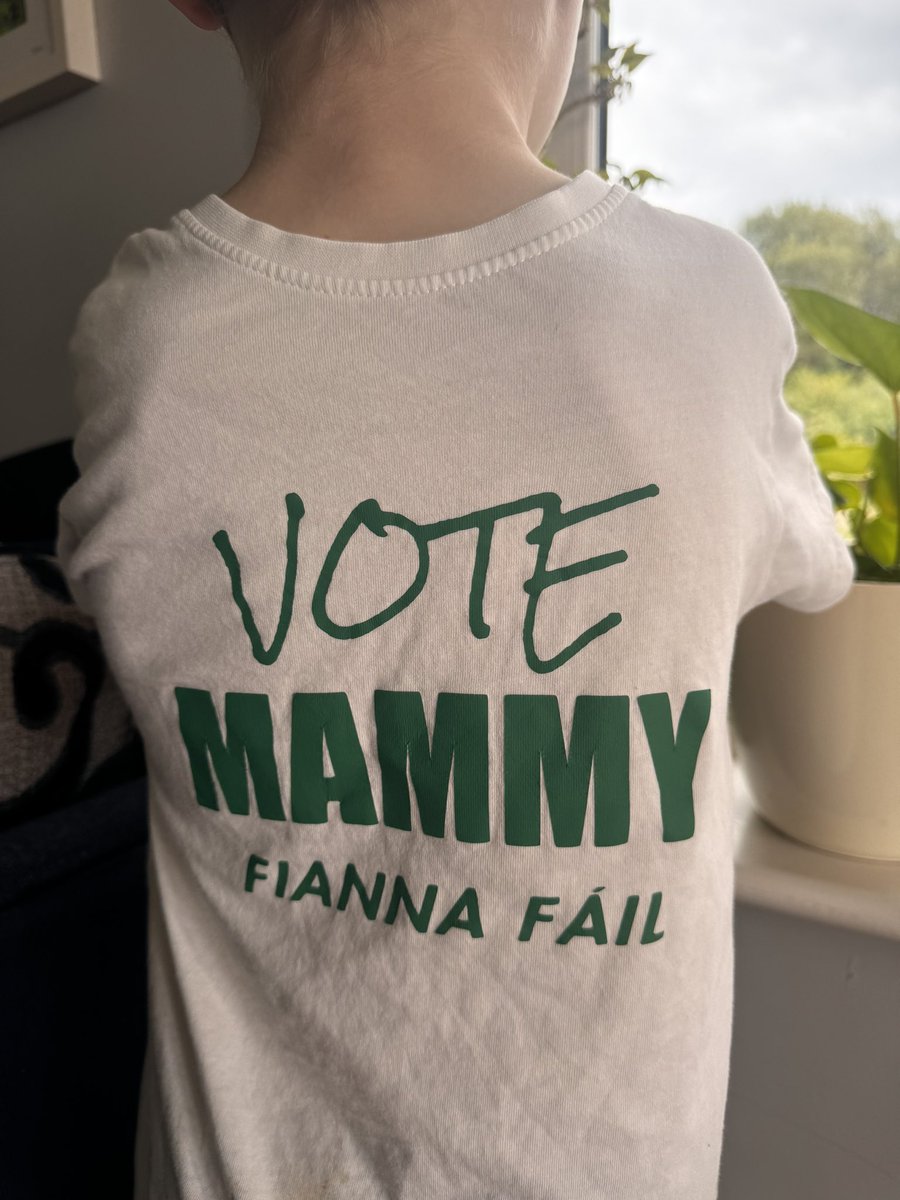 ErinMcGreehan's tweet image. My wee man is getting ready !! @fiannafailparty