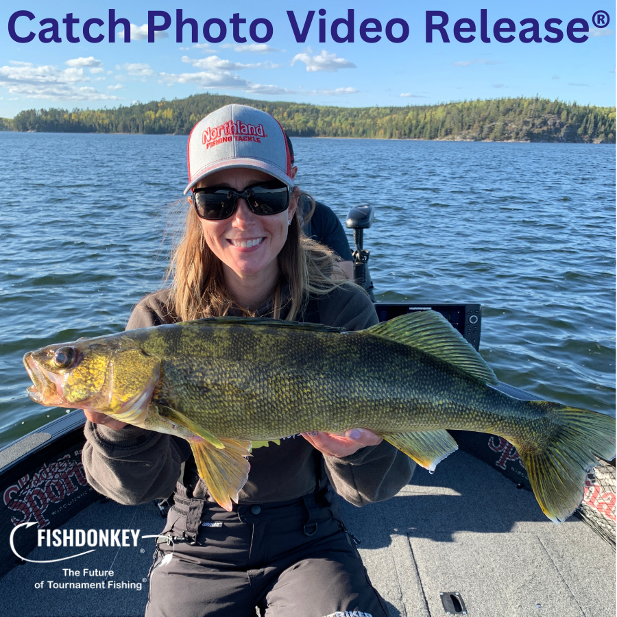 CnRelease's tweet image. Over 1.35 million fish photos have been entered and we can say with certainty that fish don't die in the Digital Livewell®.  Our platform is better for fish, prevents cheating and it's easy to run.  

#masterangler #onlinetournament #FishDonkey #walleyetournament #fishing