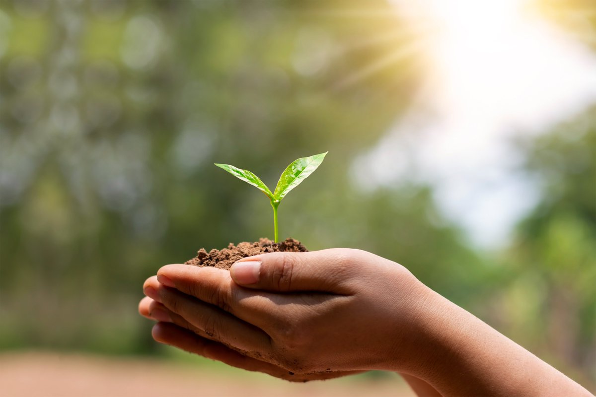 Maili Raven-Adams (@m_raven_adams) on Twitter photo I'm leading a project at <a href="/Nuffbioethics/">Nuffield Council on Bioethics (NCOB)</a> exploring how to embed #ethics across UK policy and practice addressing #ClimateChange & #health. ⚖ 🌍
I’m delighted to share 2 #new reviews that we commissioned to inform this work, both published today! bit.ly/NB_ClimateEthi… 🔗 I'm leading a project at <a href="/Nuffbioethics/">Nuffield Council on Bioethics (NCOB)</a> exploring how to embed #ethics across UK policy and practice addressing #ClimateChange & #health. ⚖ 🌍
I’m delighted to share 2 #new reviews that we commissioned to inform this work, both published today! bit.ly/NB_ClimateEthi… 🔗