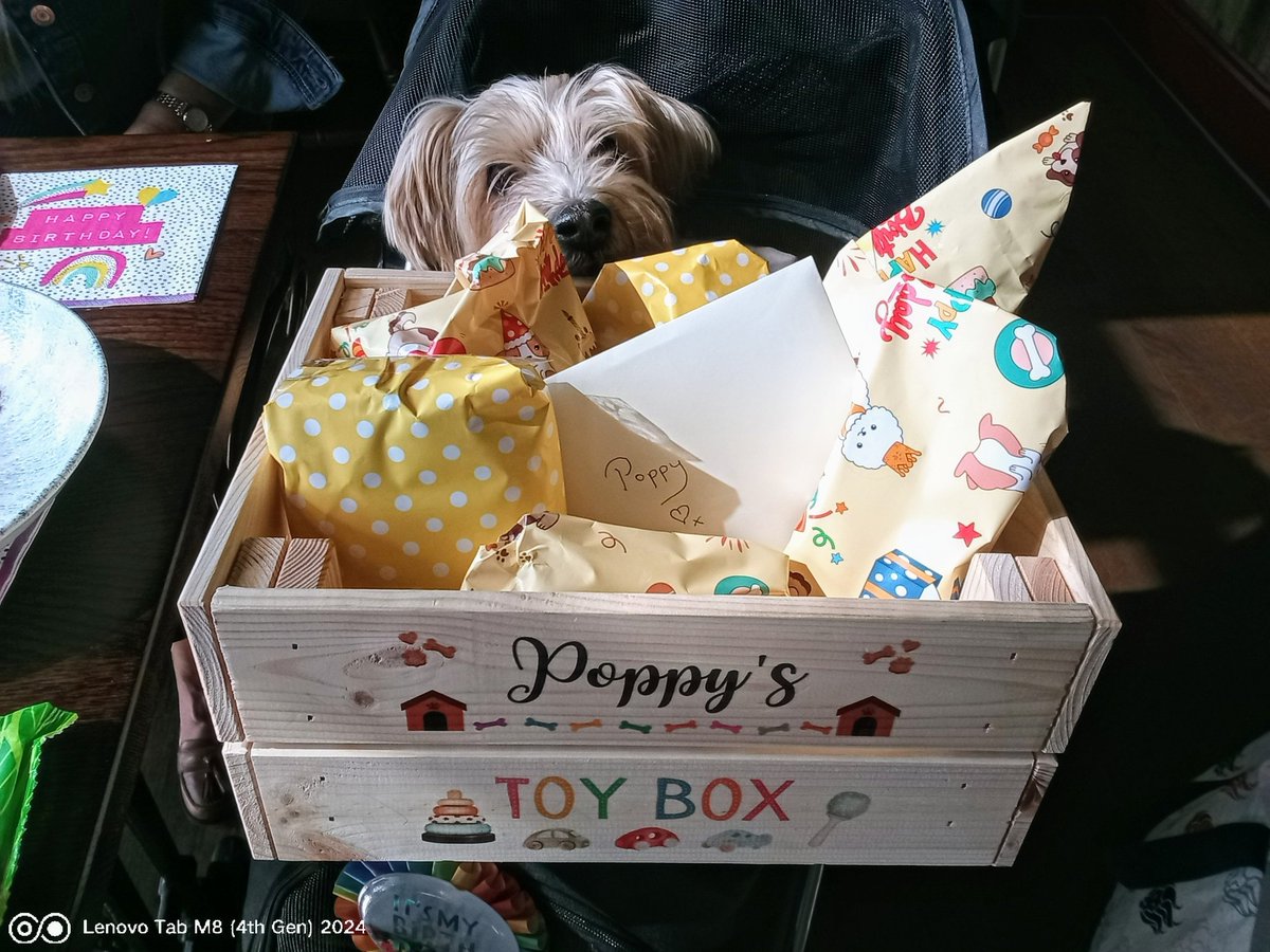 AndrewNoble16's tweet image. A truly #wonderful #pawfect #Birthday for #Poppy 🐾 Choo Choo train ride #StAnnesOnSea #pawsome #Thanks #AuntyJoJo &amp;amp; #UncleRuss @russinblack &amp;amp; #lunch at our #favourite #dogfriendly #OffShore #quality &amp;amp; my #Poppy #Toybox 😘 &amp;amp; #Thanks @Mike_Zeller1 #radio mention @BBC_Cumbria 📻 🐾