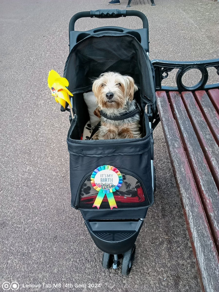 AndrewNoble16's tweet image. A truly #wonderful #pawfect #Birthday for #Poppy 🐾 Choo Choo train ride #StAnnesOnSea #pawsome #Thanks #AuntyJoJo &amp;amp; #UncleRuss @russinblack &amp;amp; #lunch at our #favourite #dogfriendly #OffShore #quality &amp;amp; my #Poppy #Toybox 😘 &amp;amp; #Thanks @Mike_Zeller1 #radio mention @BBC_Cumbria 📻 🐾