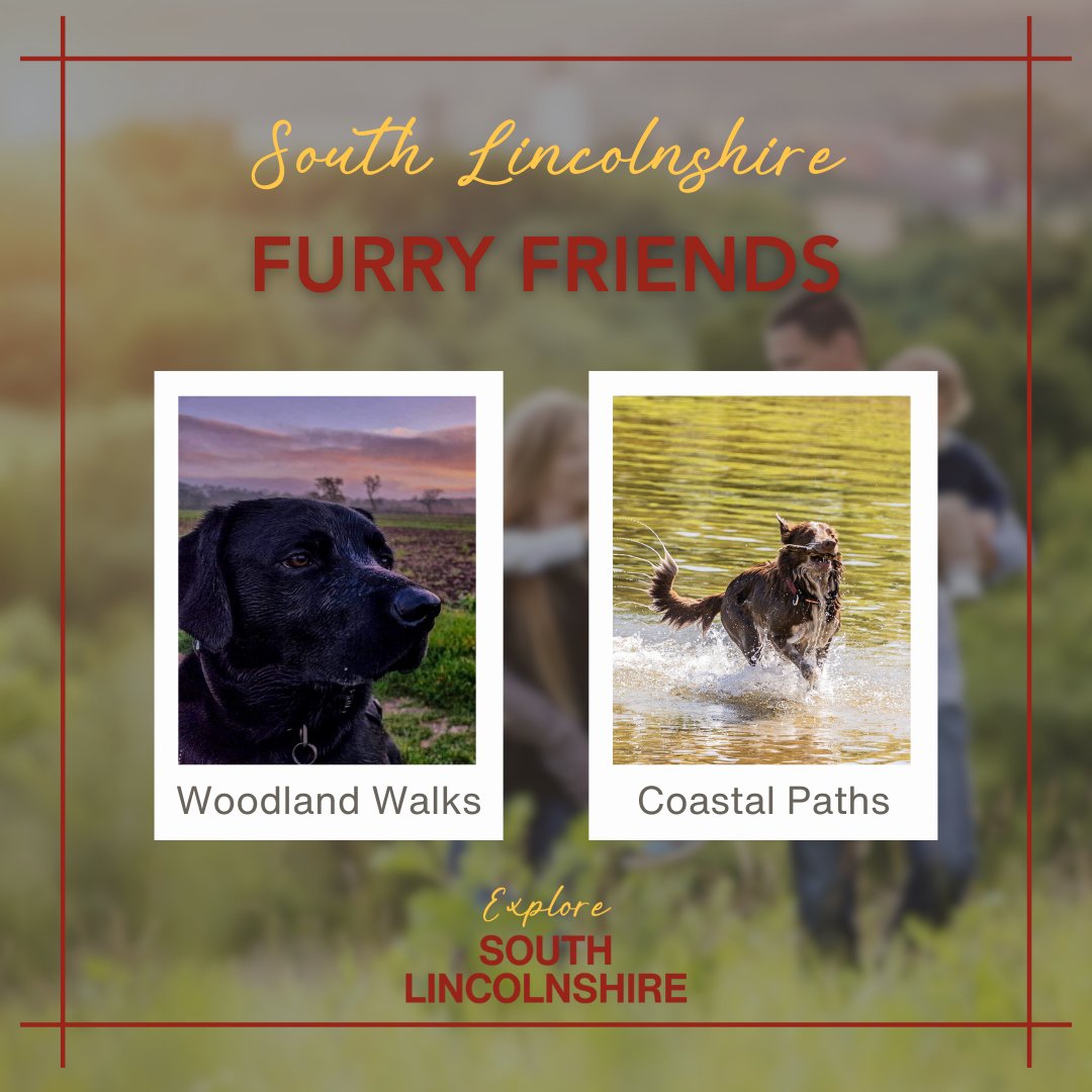 ESLVisitorGuide's tweet image. Discover the wonders of South Lincolnshire! 🌟
From indulging foodies to antique aficionados, and shopaholics to wildlife lovers, there's something for everyone (even your furry friends 🐾)
Dive into our visitor guide and find your perfect adventure!
#ExploreSouthLincolnshire