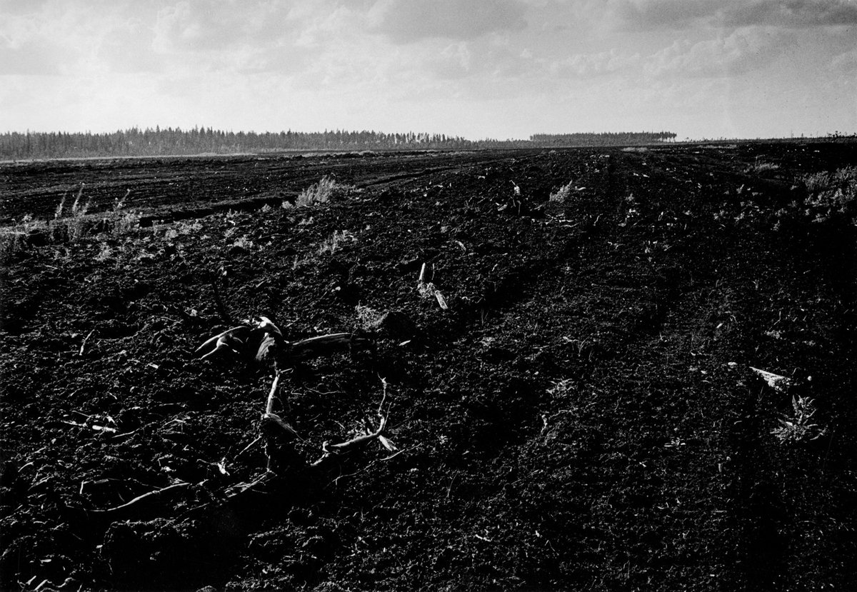 Se tehokkuus jolla jo 1960-luvulla keidassuot kynnettiin ja viimeiset salomaat hävitettiin oli kyllä nykymittapuunkin mukaan huimaava.

Kuvia ja tekstiä ”Satakunnan Lapista” vuonna 1966 :
holotna.pic.fi/kuvat/La_Strad…

Kuvassa kesäinen Kihniön Aitoneva 1966.