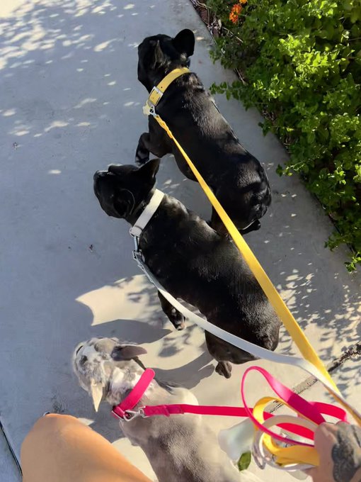 Watch Shay Fox's leaked NSFW photo on TwXstars