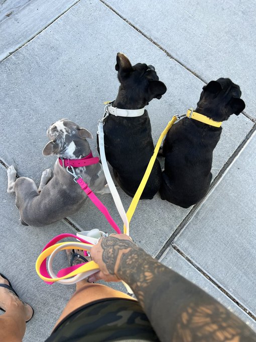 Watch Shay Fox's leaked NSFW photo on TwXstars