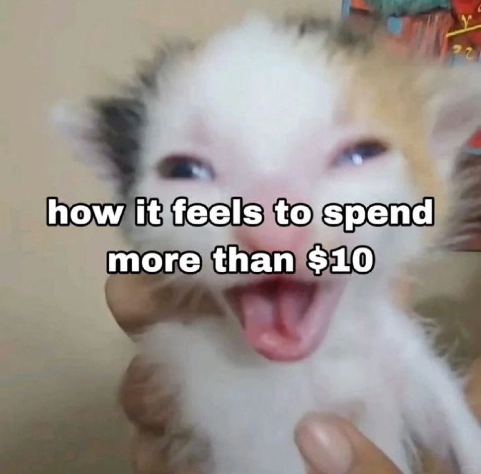 LiterallyMeCats (@literallymecats) on Twitter photo 