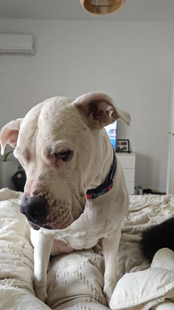 Podría acostarme por acá?