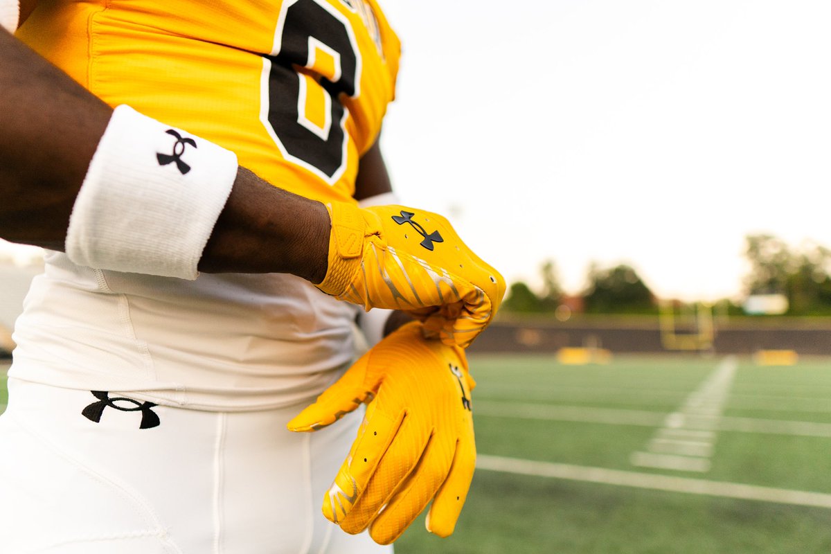 Starting out

⚪️🟡⚪️

#GohTigers | #ARETE